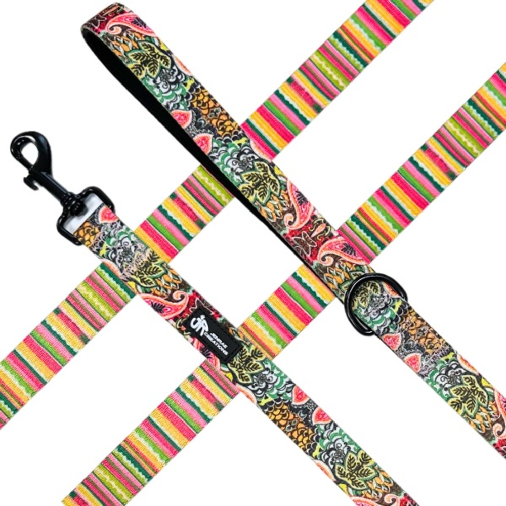 Leash & Collar set - Nova Collection